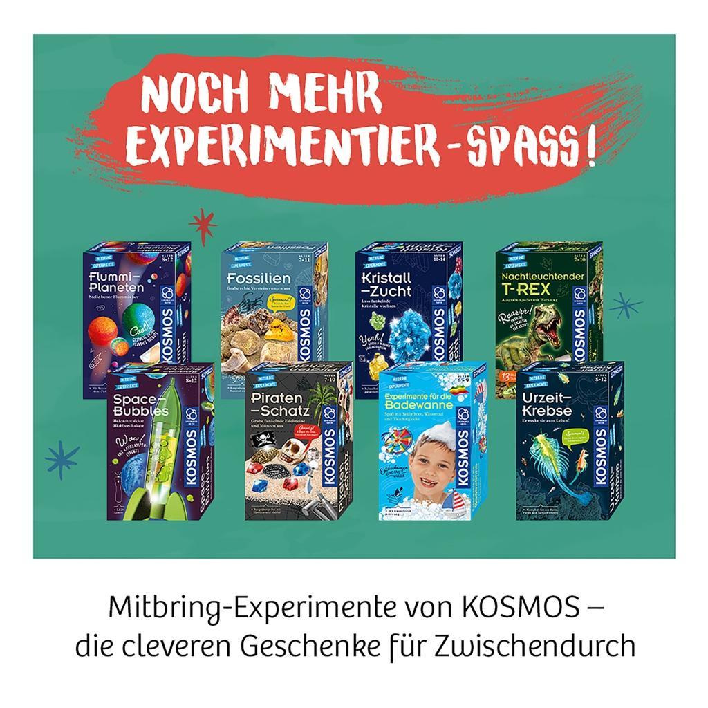 Beispielinhalt (Bild) Fossilien