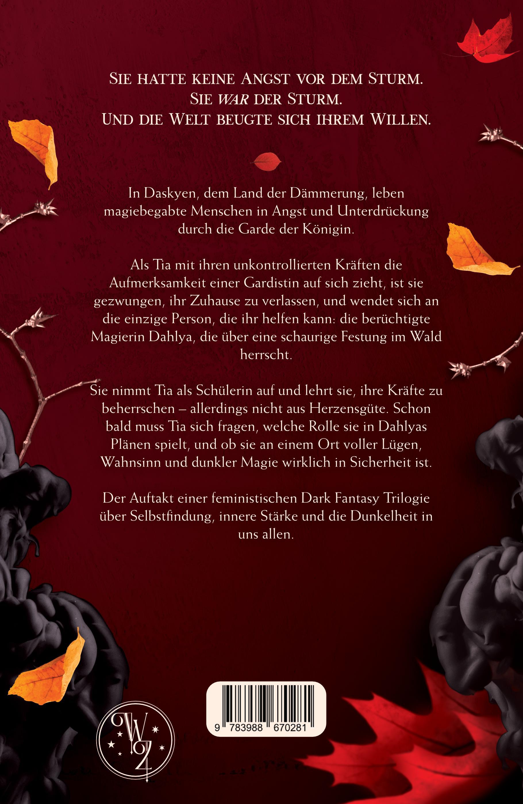 Rückseitencover Wie Schatten in der Dämmerung