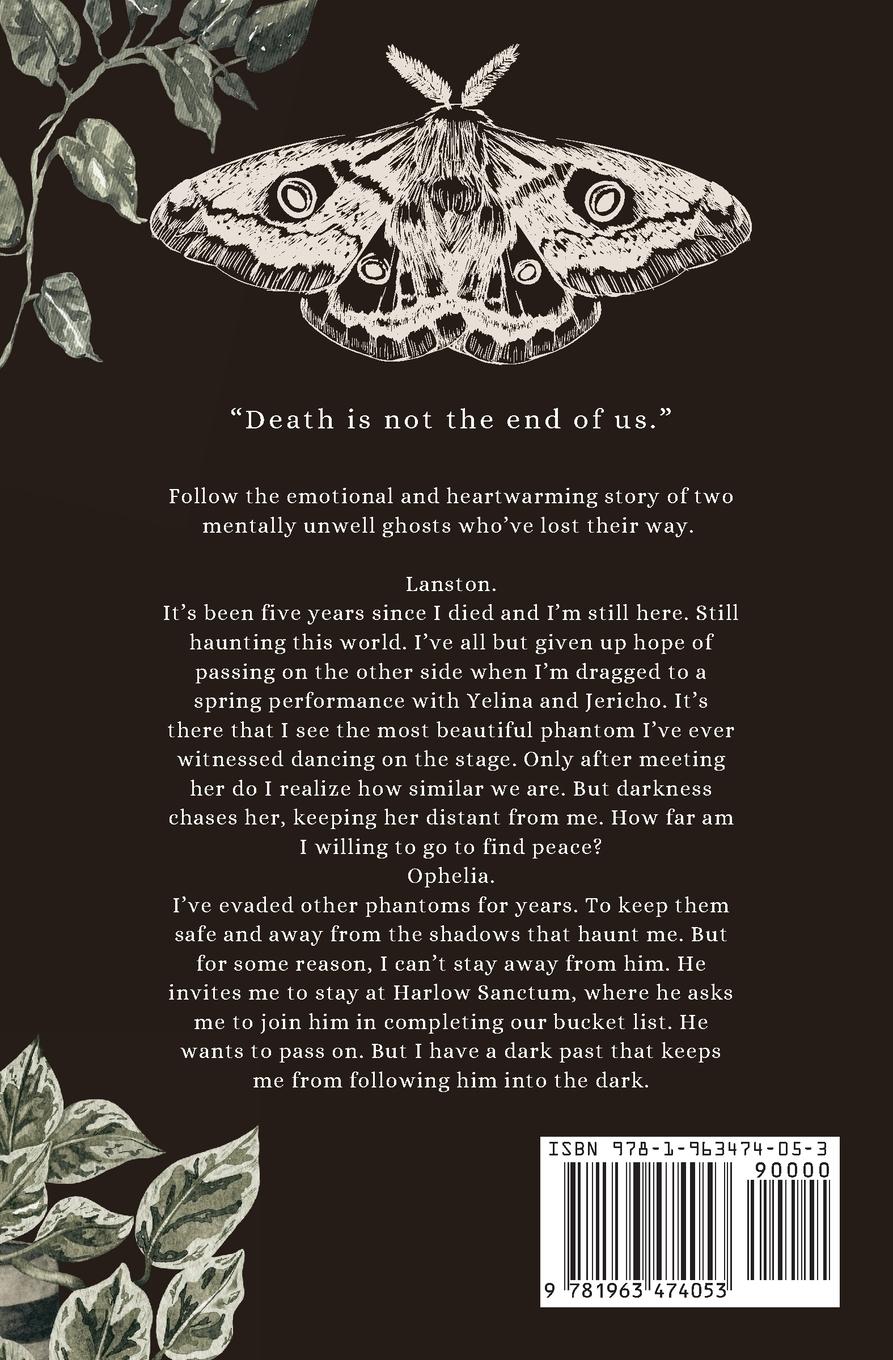 Rückseitencover A Ballad of Phantoms and Hope