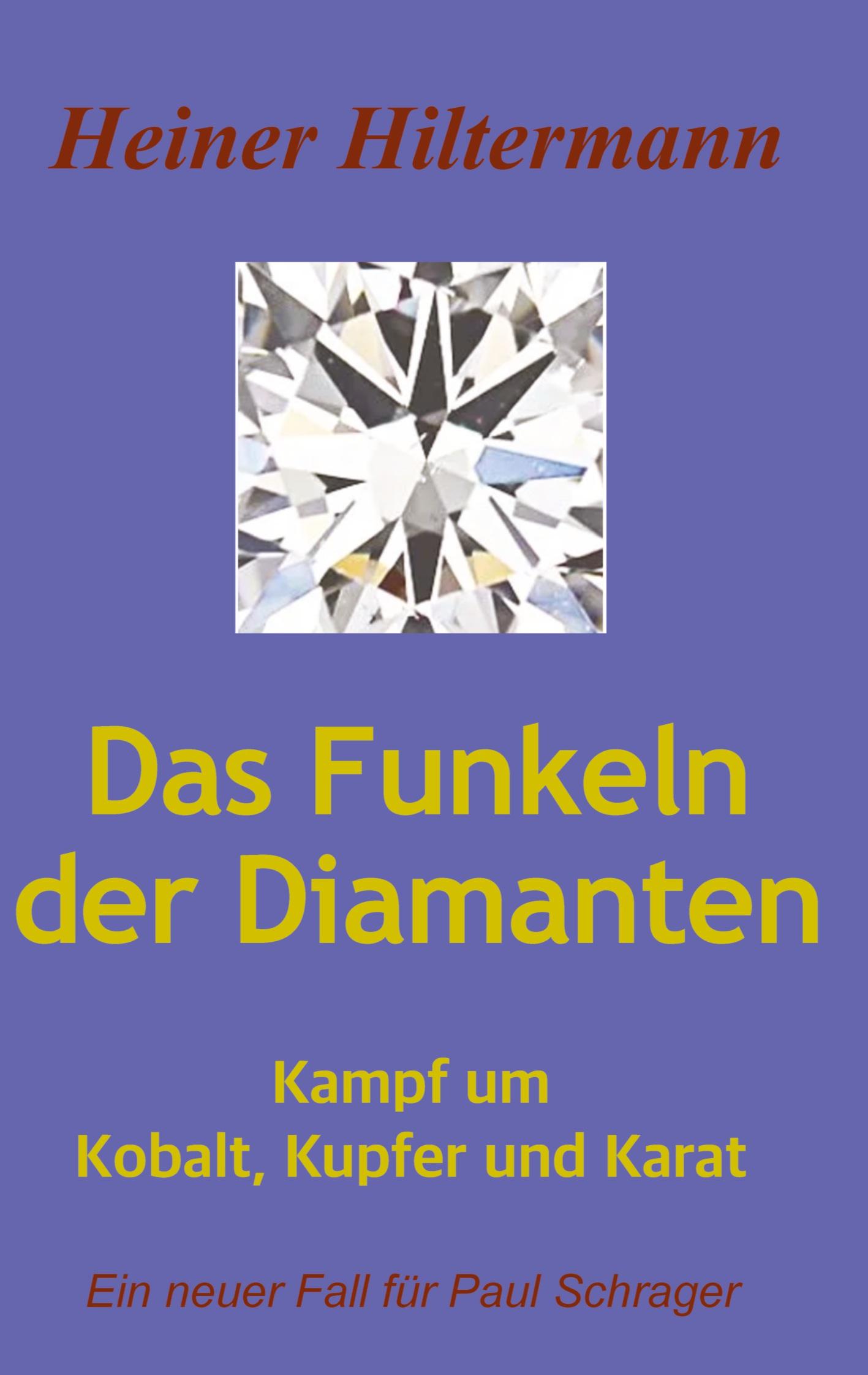 Vorderes Coverbild Das Funkeln der Diamanten