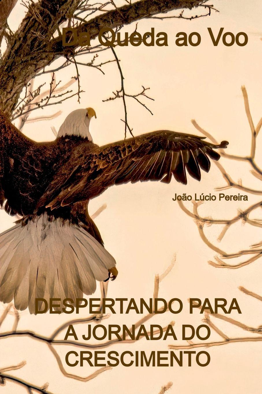 Vorderes Coverbild Da Queda Ao Voo