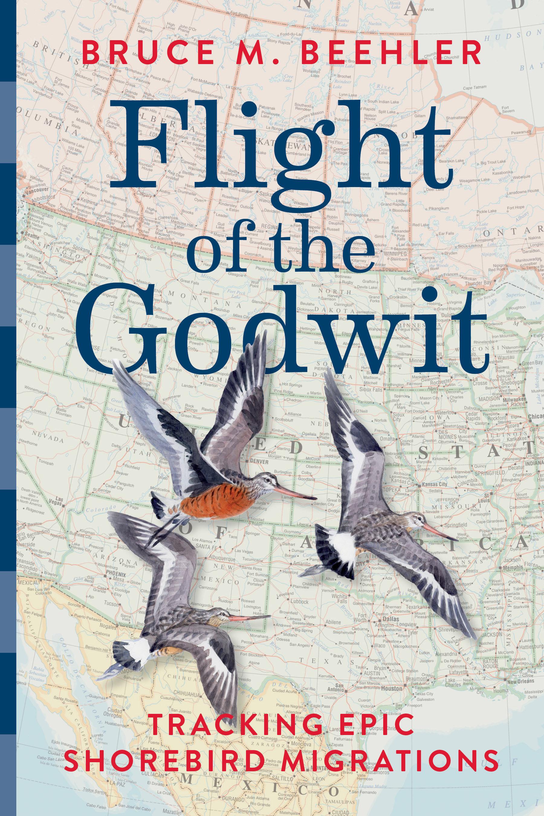 Vorderes Coverbild Flight of the Godwit