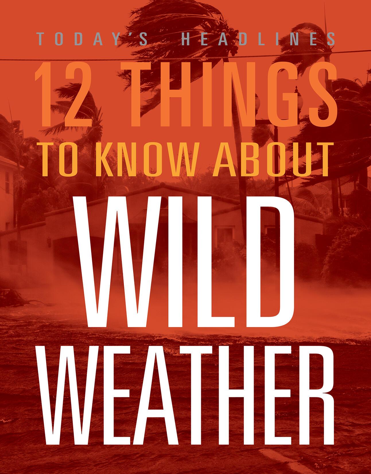 Vorderes Coverbild 12 Things to Know about Wild Weather