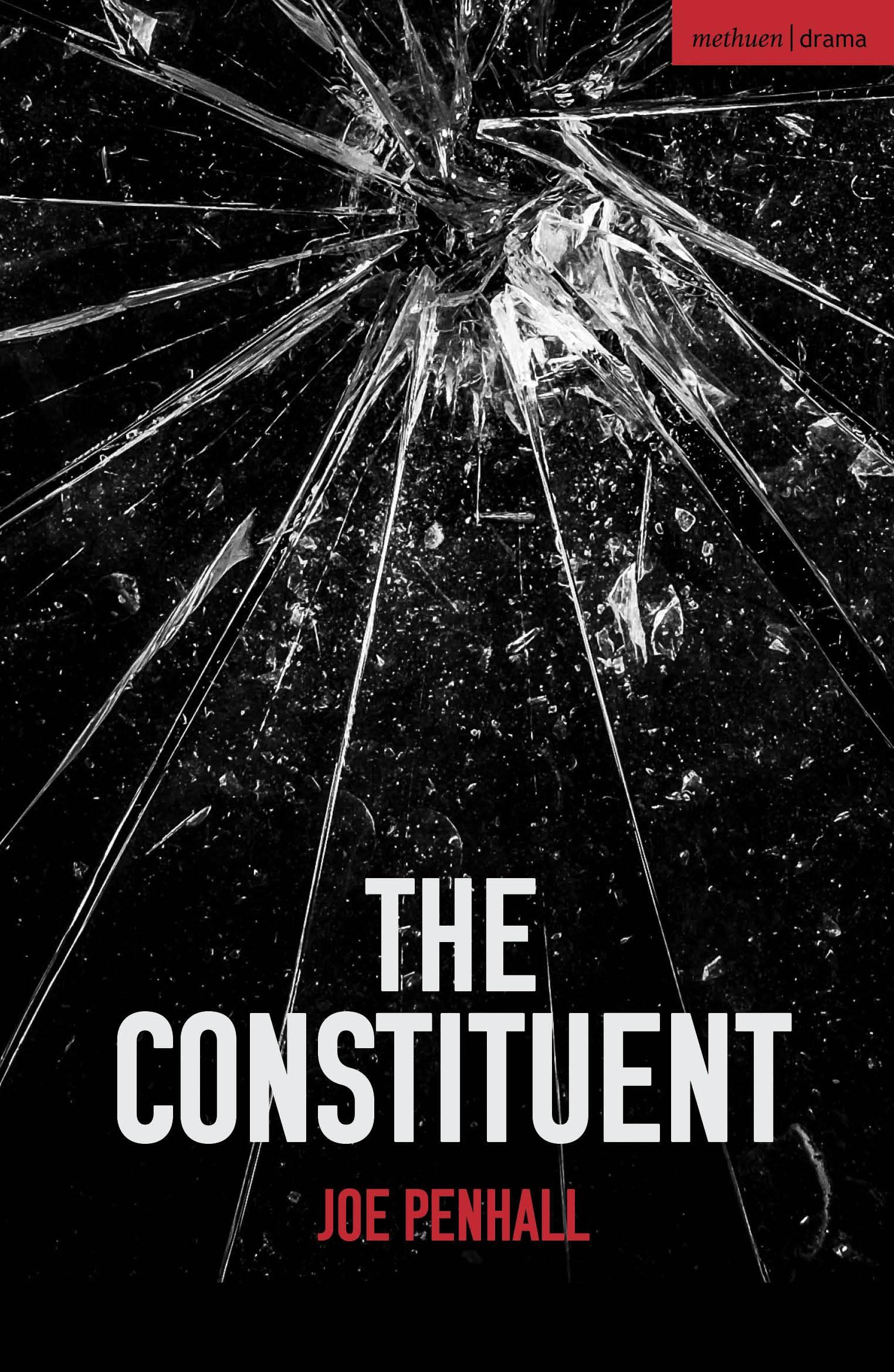 Vorderes Coverbild The Constituent