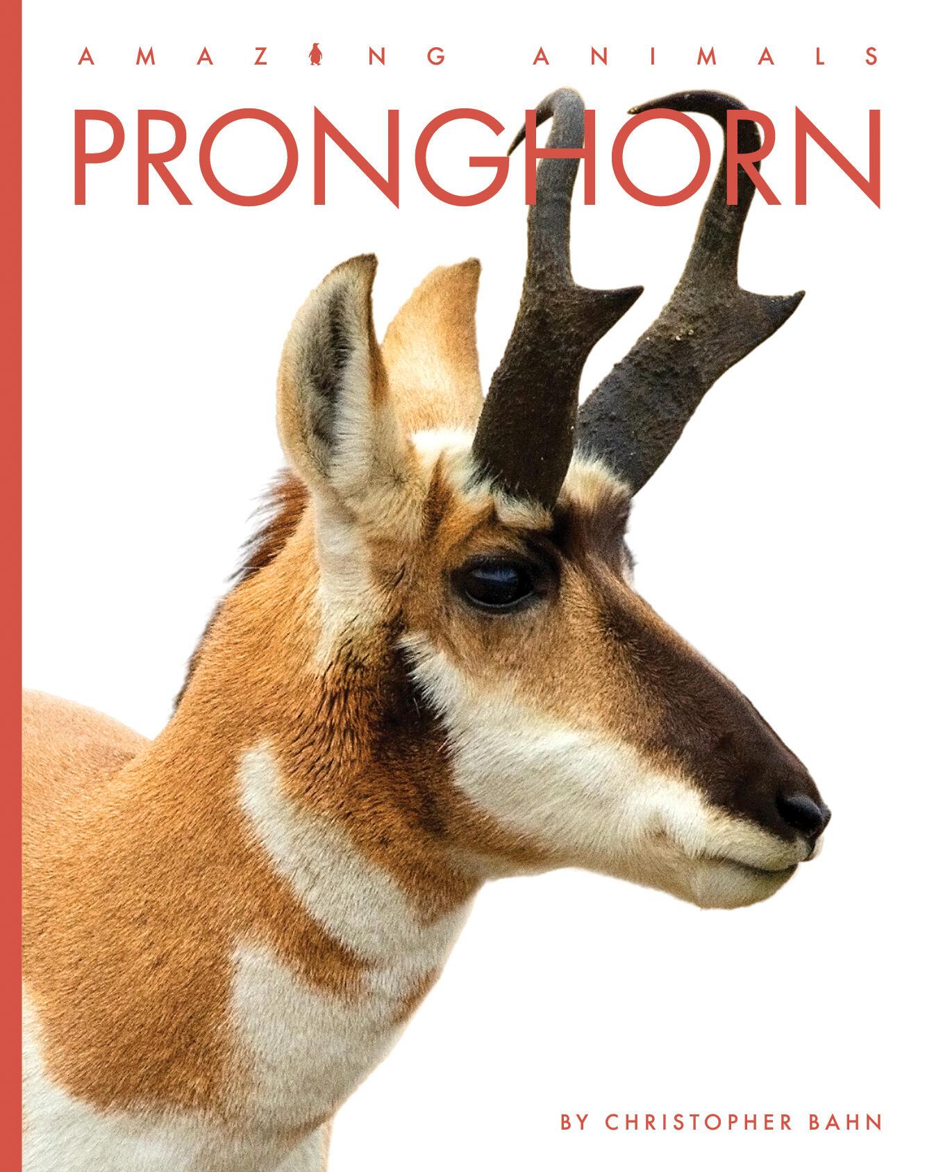 Vorderes Coverbild Pronghorn