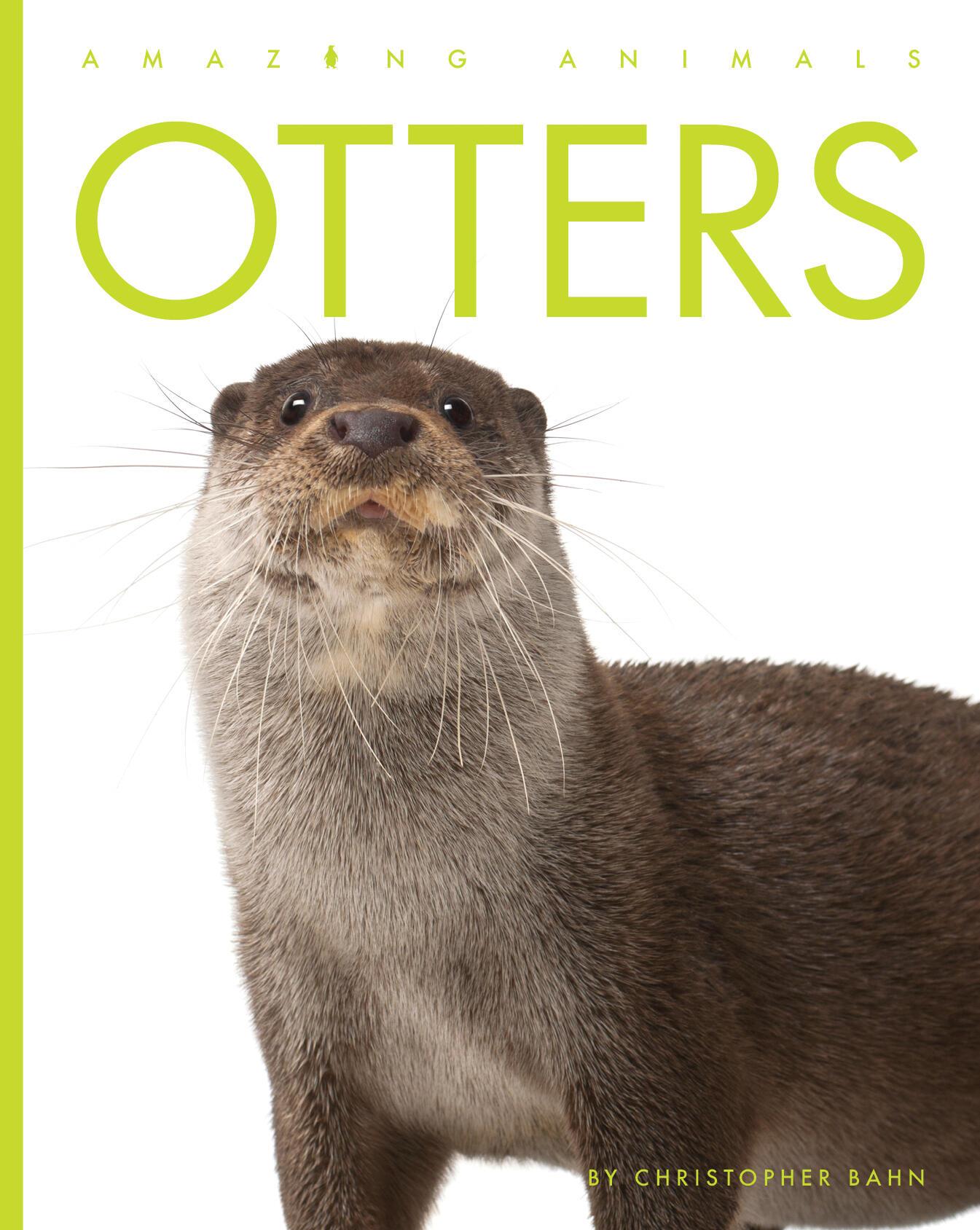 Vorderes Coverbild Otters