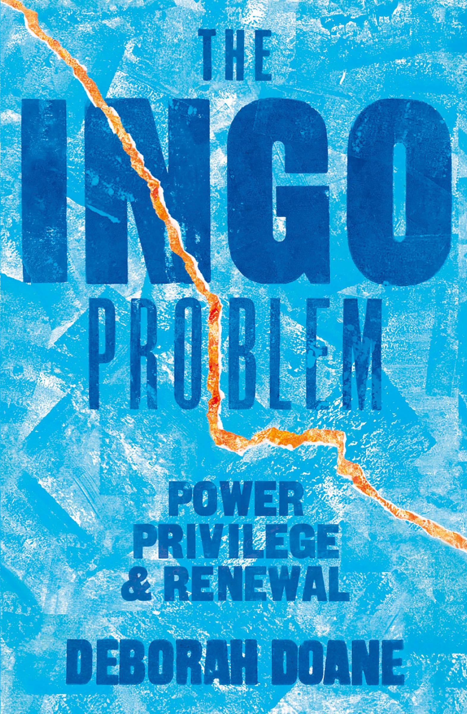 Vorderes Coverbild The INGO Problem