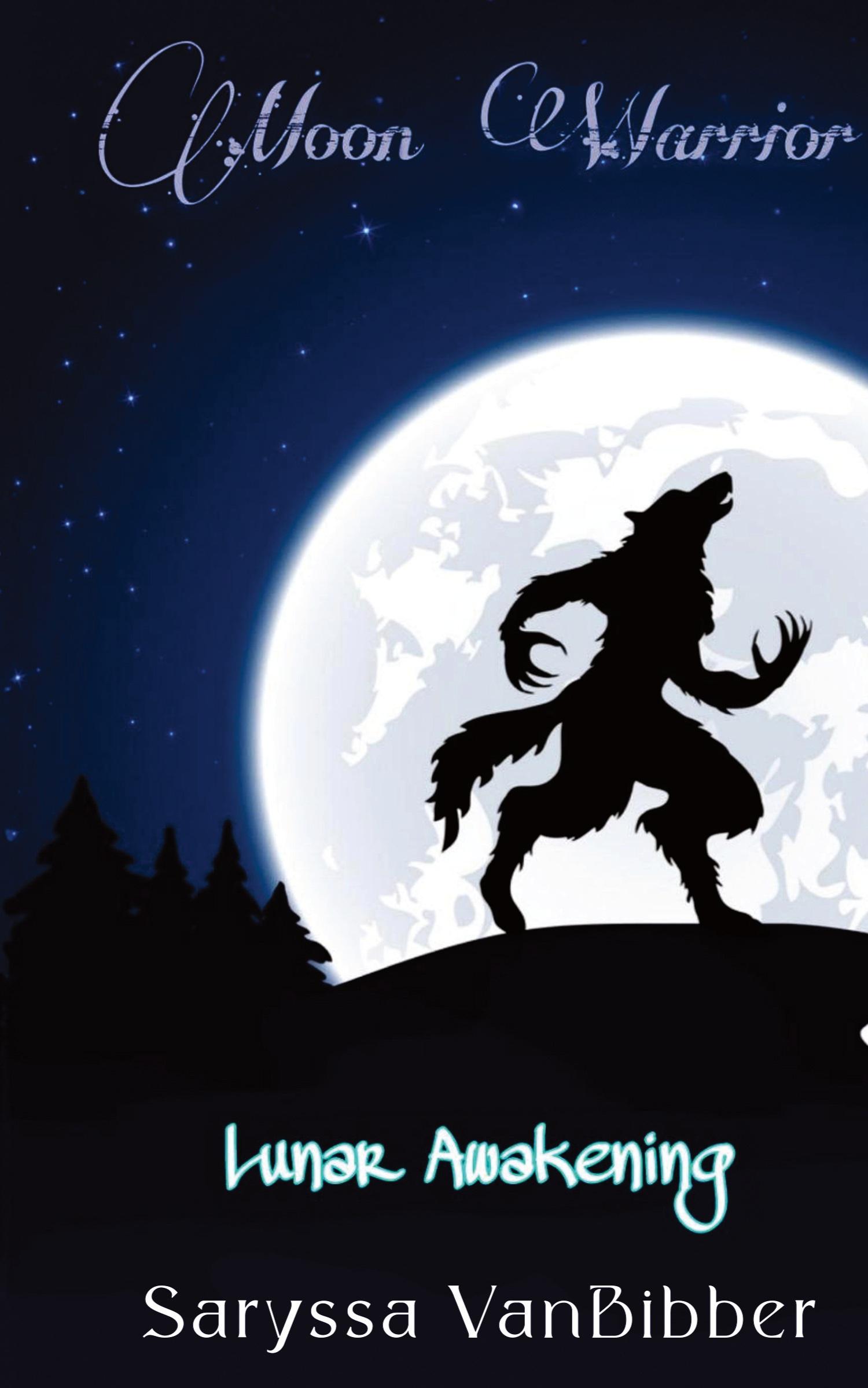 Vorderes Coverbild Moon Warrior