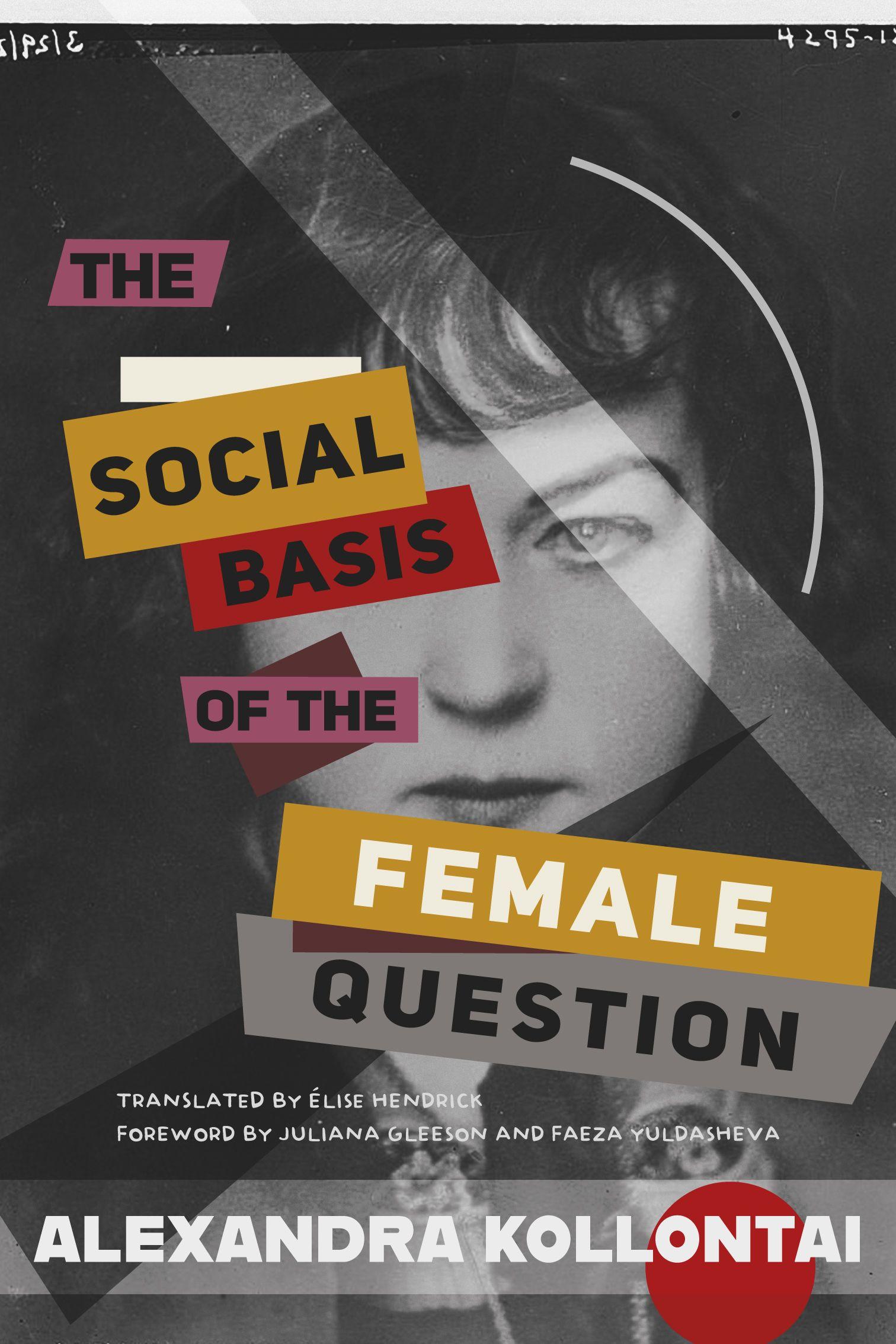 Vorderes Coverbild The Social Basis of the Female Question