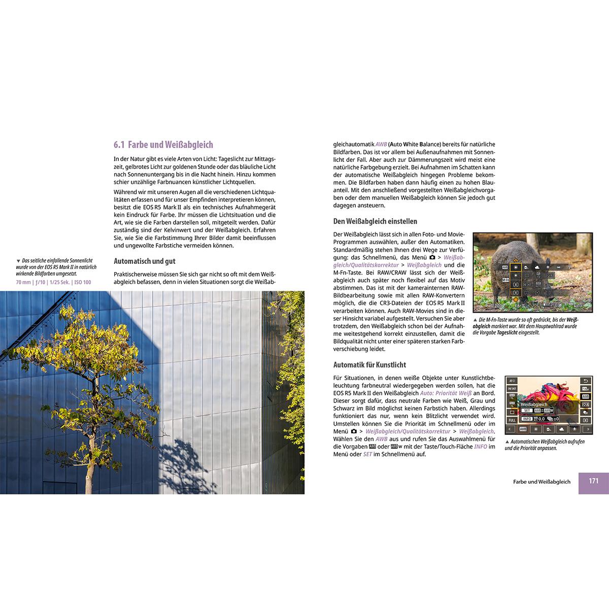 Beispielinhalt (Bild) Canon EOS R5 Mark II - Das umfangreiche Praxisbuch zu Ihrer Profi-Kamera