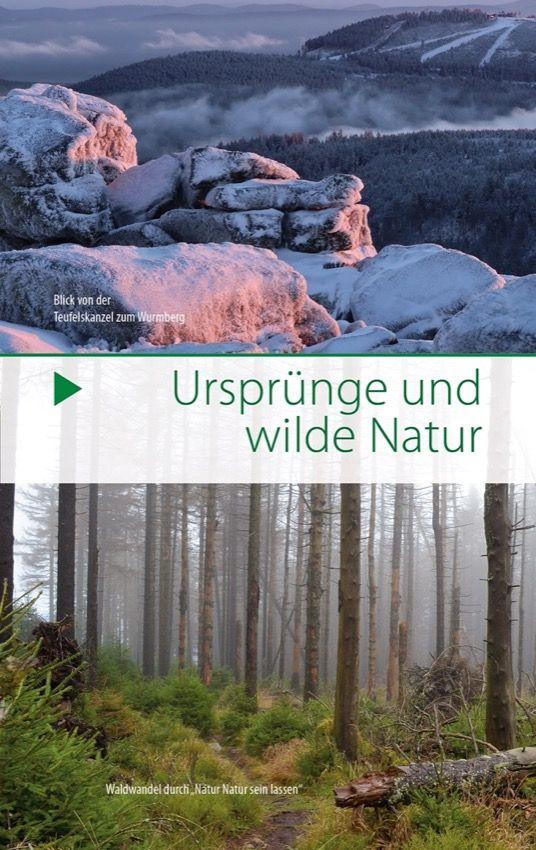 Beispielinhalt (Bild) Der Brocken