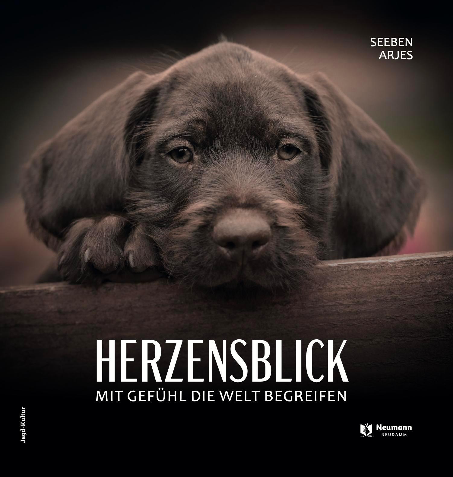 Vorderes Coverbild Herzensblick
