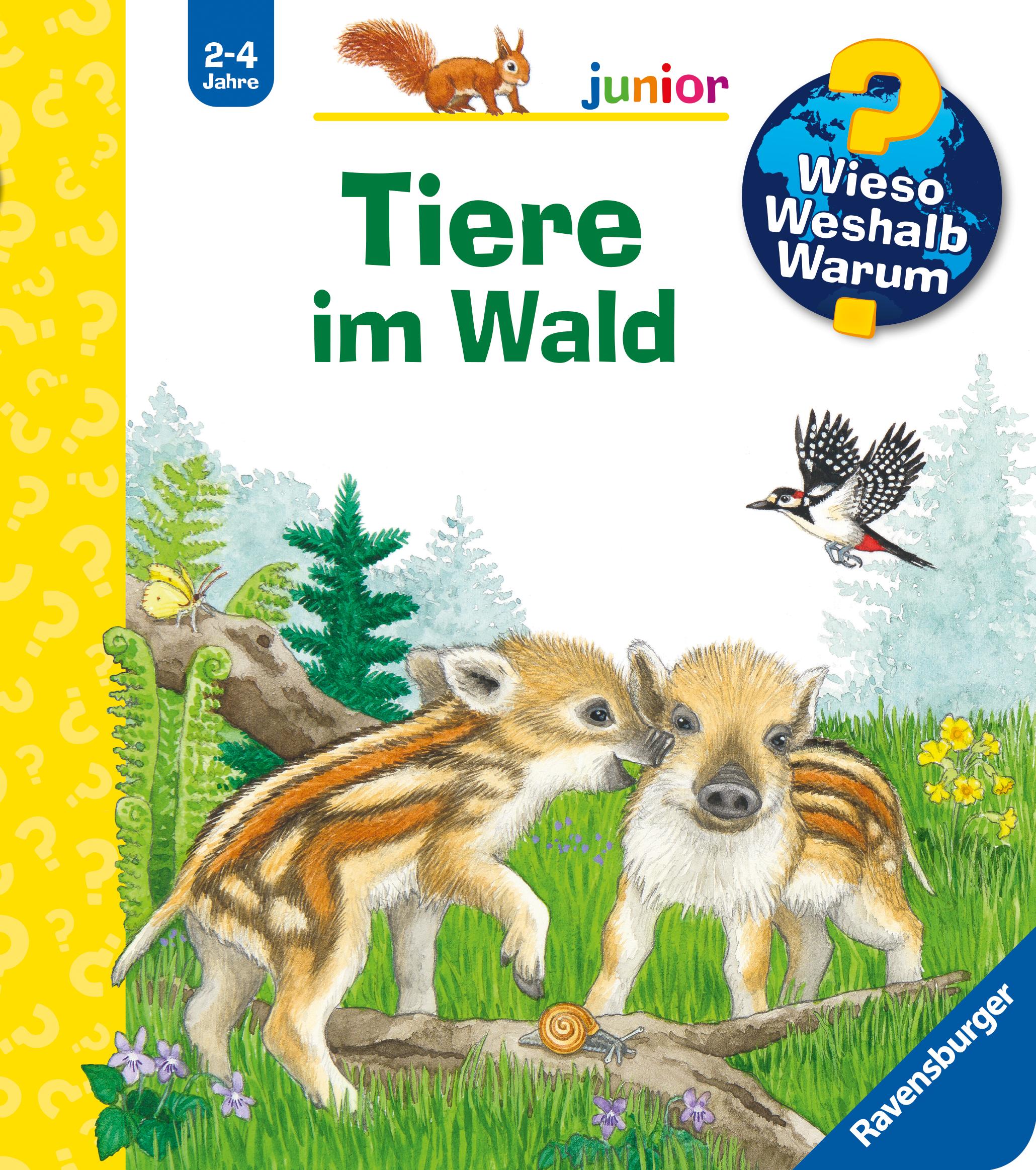 Vorderes Coverbild Wieso? Weshalb? Warum? junior, Band 77 - Tiere im Wald