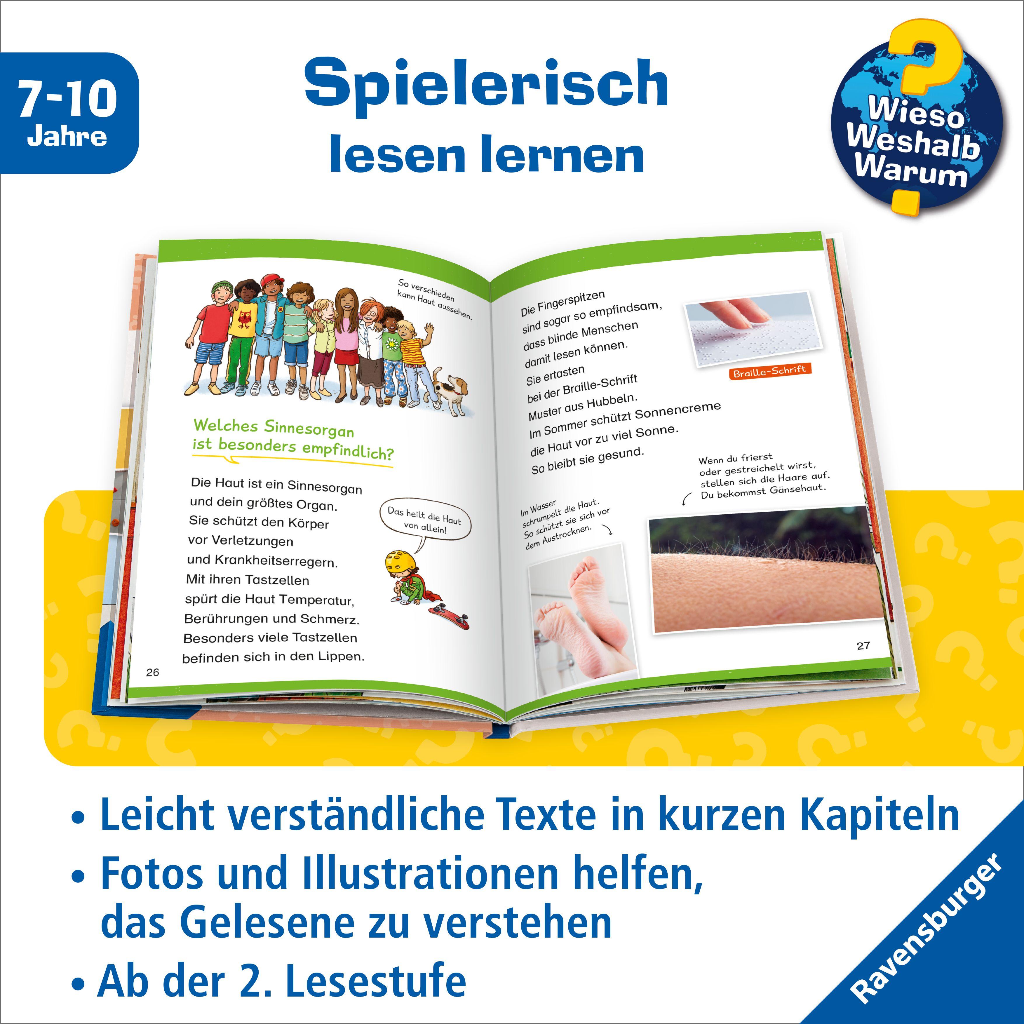 Beispielinhalt (Bild) Wieso? Weshalb? Warum? Erstleser, Band 15 - Mein Körper