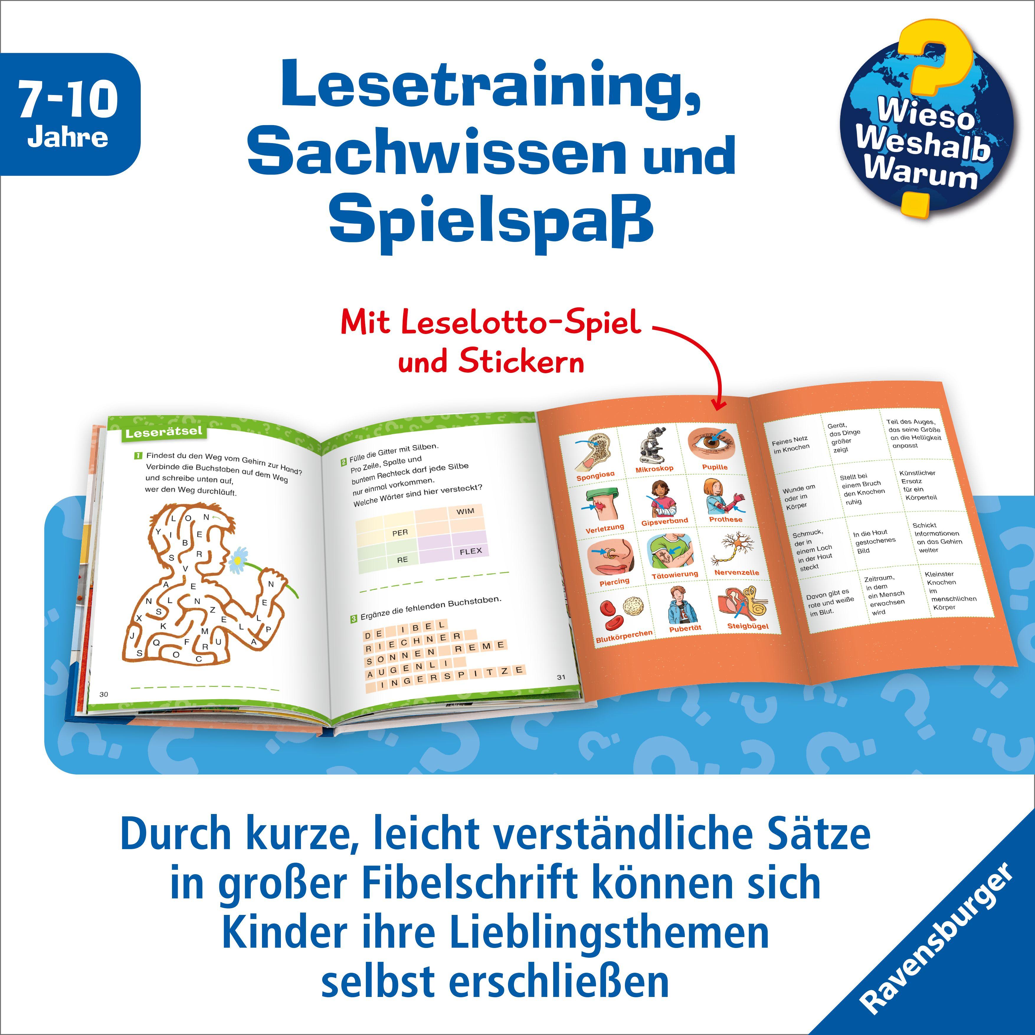 Beispielinhalt (Bild) Wieso? Weshalb? Warum? Erstleser, Band 15 - Mein Körper