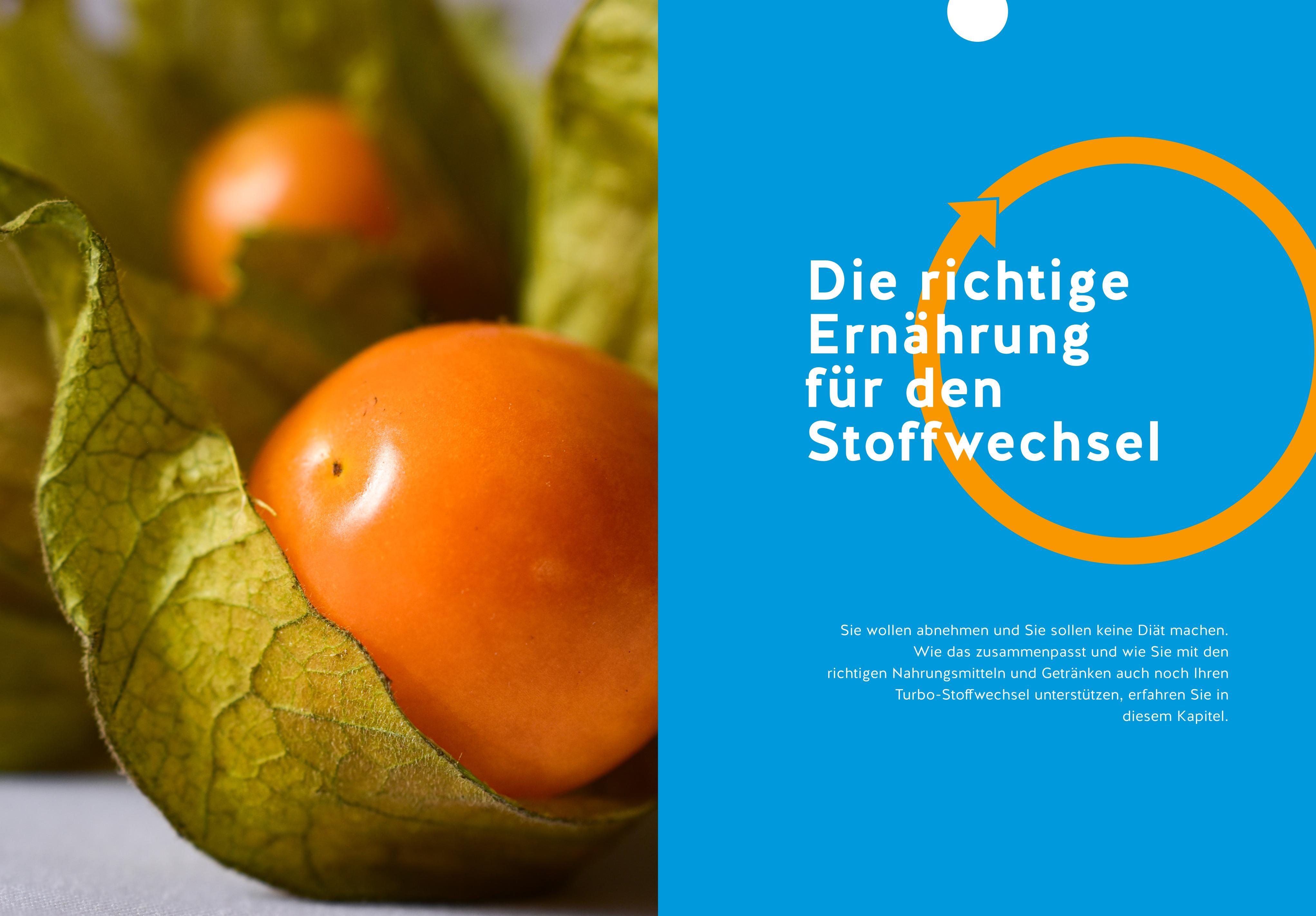 Beispielinhalt (Bild) Stoffwechsel-Reset