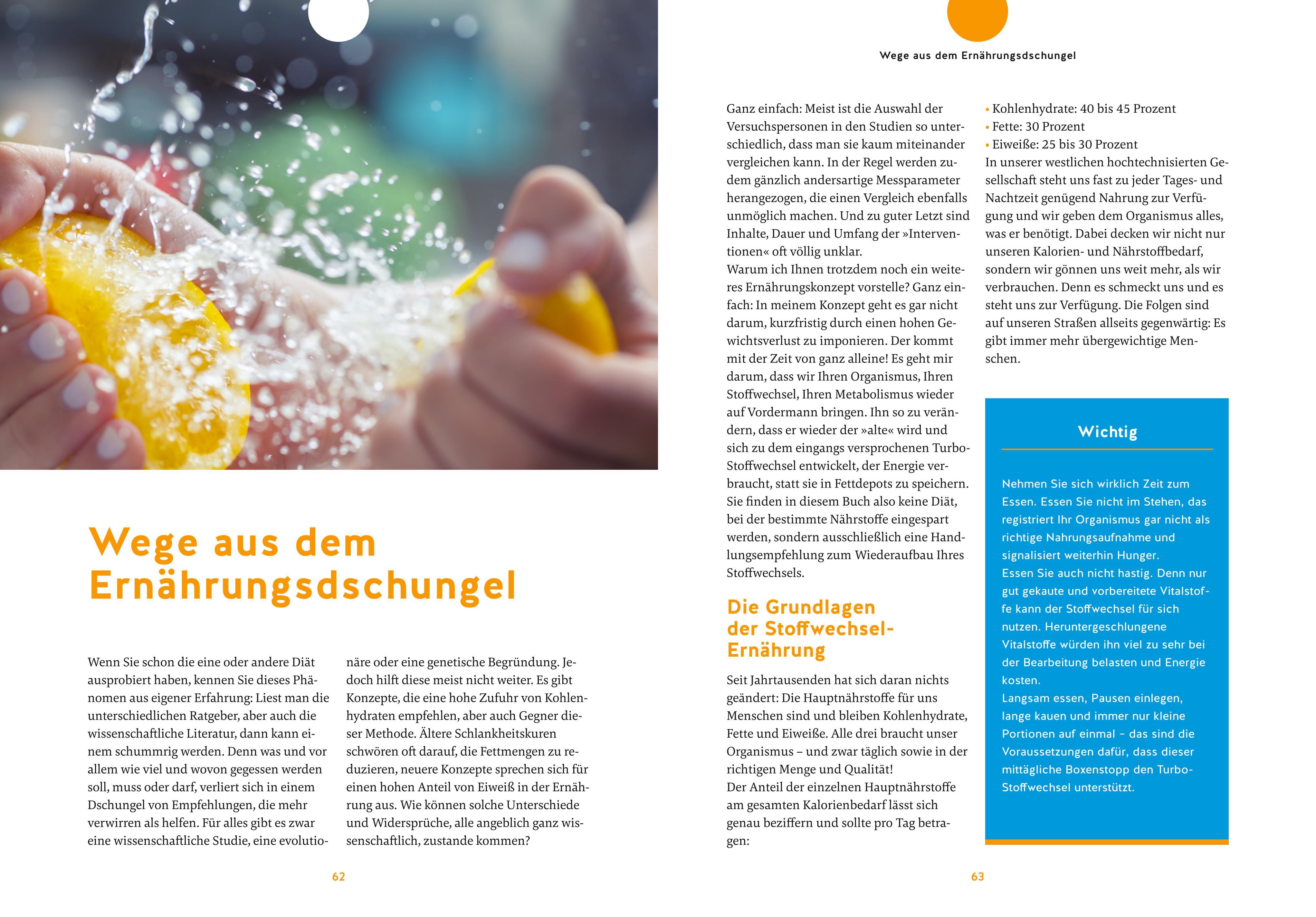 Beispielinhalt (Bild) Stoffwechsel-Reset