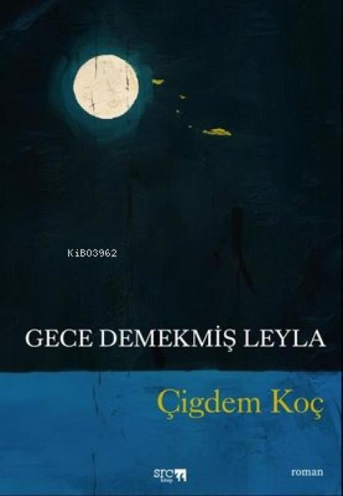 Vorderes Coverbild Gece Demekmis Leyla