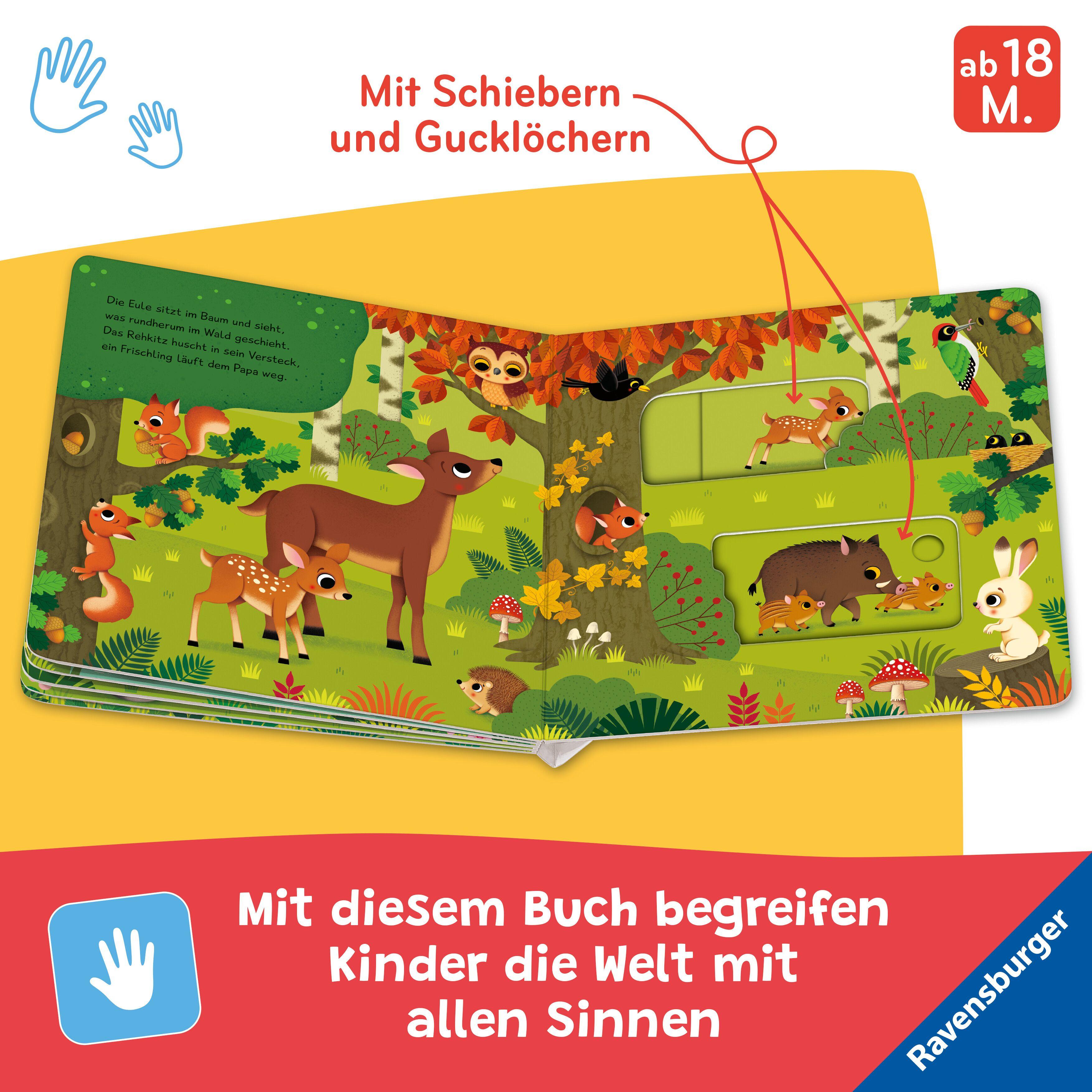 Beispielinhalt (Bild) Mein Schiebe-Mitmachbuch - Lieblingstiere