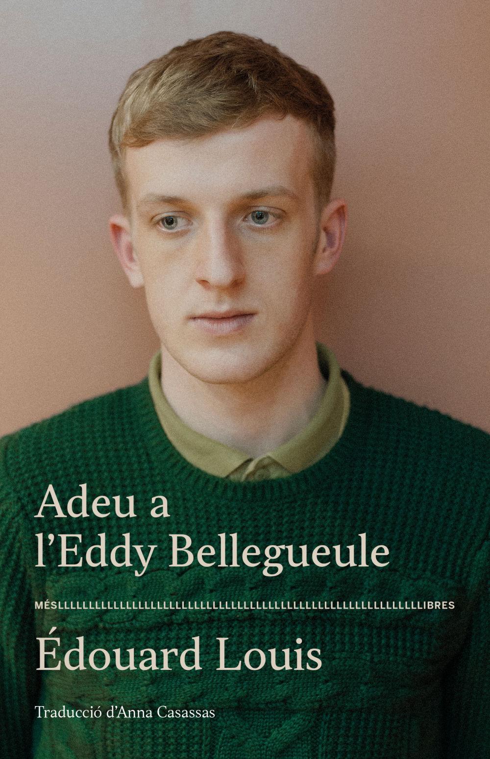 Beispielinhalt (Bild) Adeu a l'Eddy Bellegueule