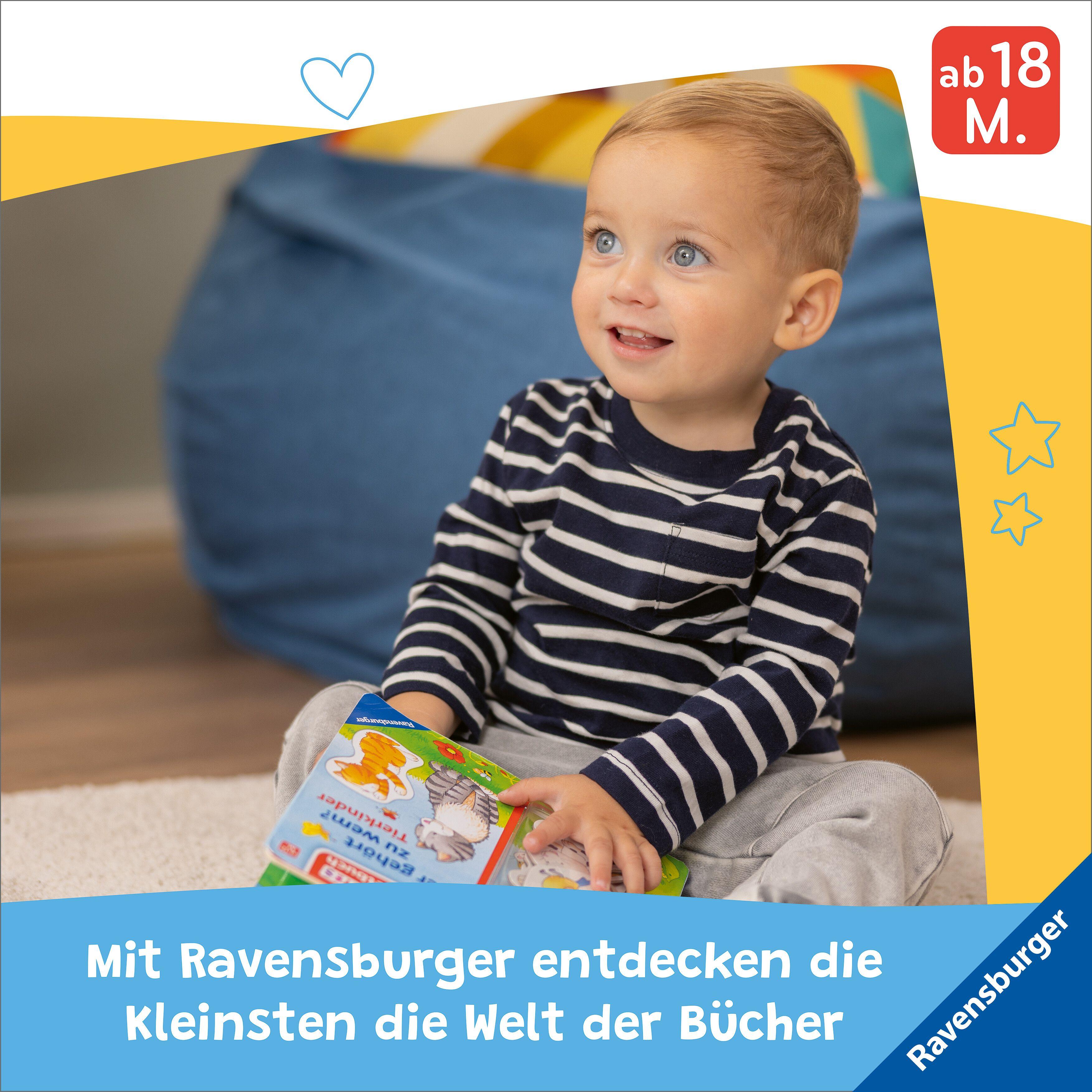 Beispielinhalt (Bild) Wo ist bloß ...? - Mein Tier-Buch zum Sachen suchen