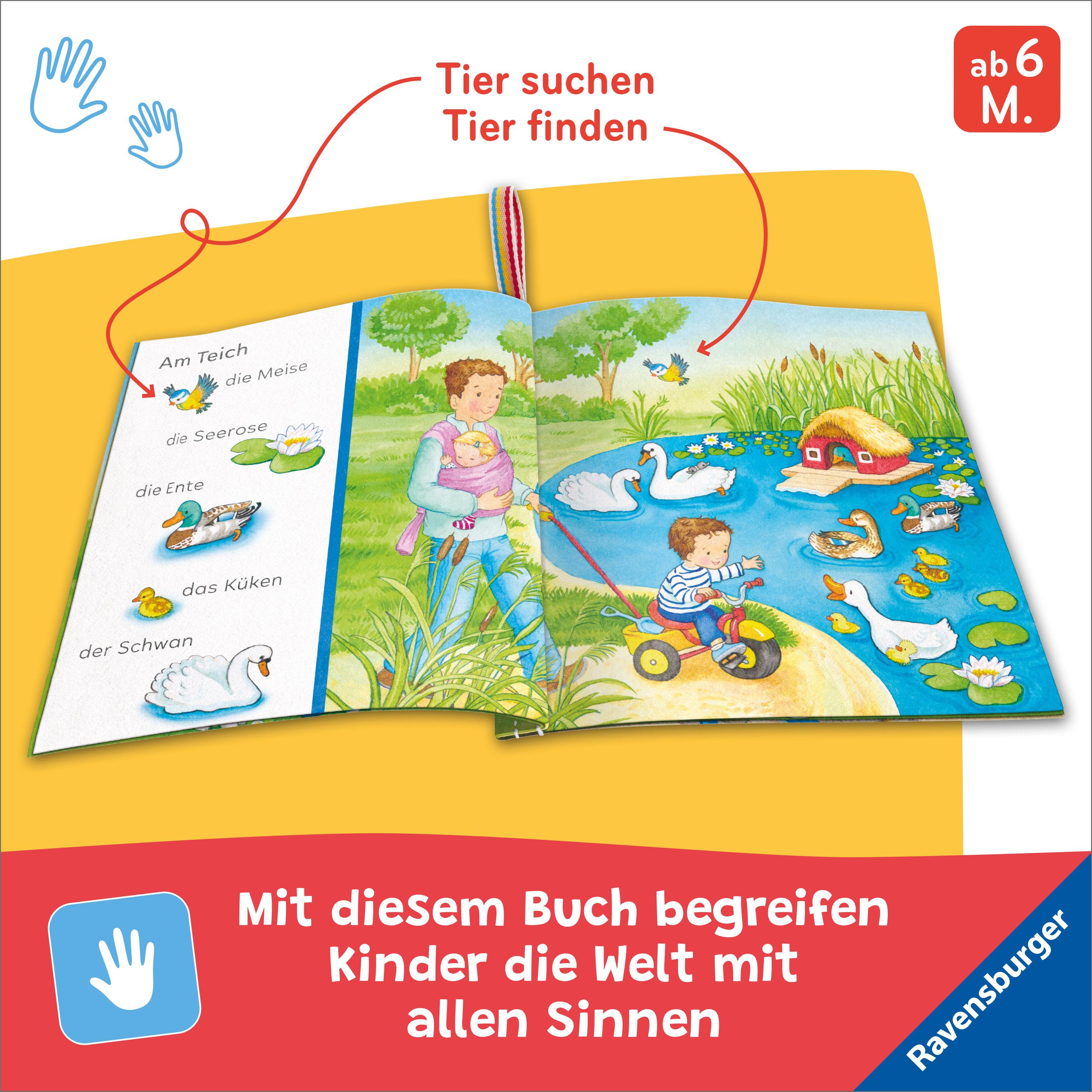 Beispielinhalt (Bild) Mein Knuddel-Knautsch-Buch - Sachen suchen. Meine Lieblingstiere