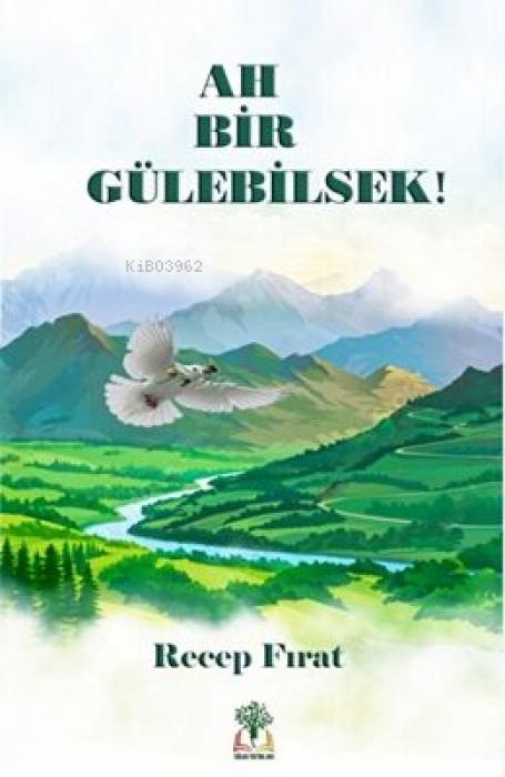 Vorderes Coverbild Ah Bir Gülebilsek Ciltli