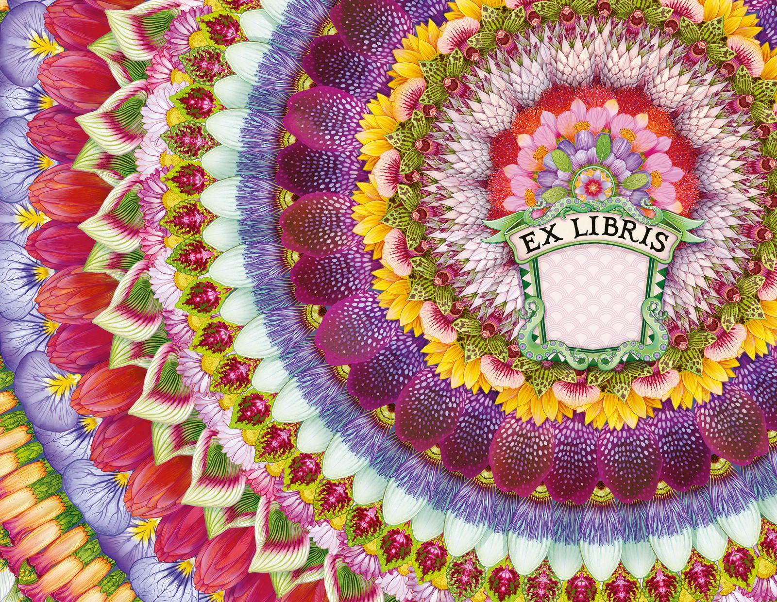 Beispielinhalt (Bild) Vergissmeinnicht - Was die Welt zusammenhält