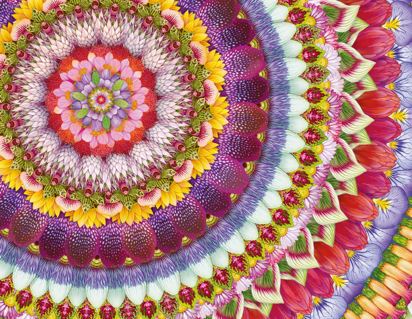 Beispielinhalt (Bild) Vergissmeinnicht - Was die Welt zusammenhält