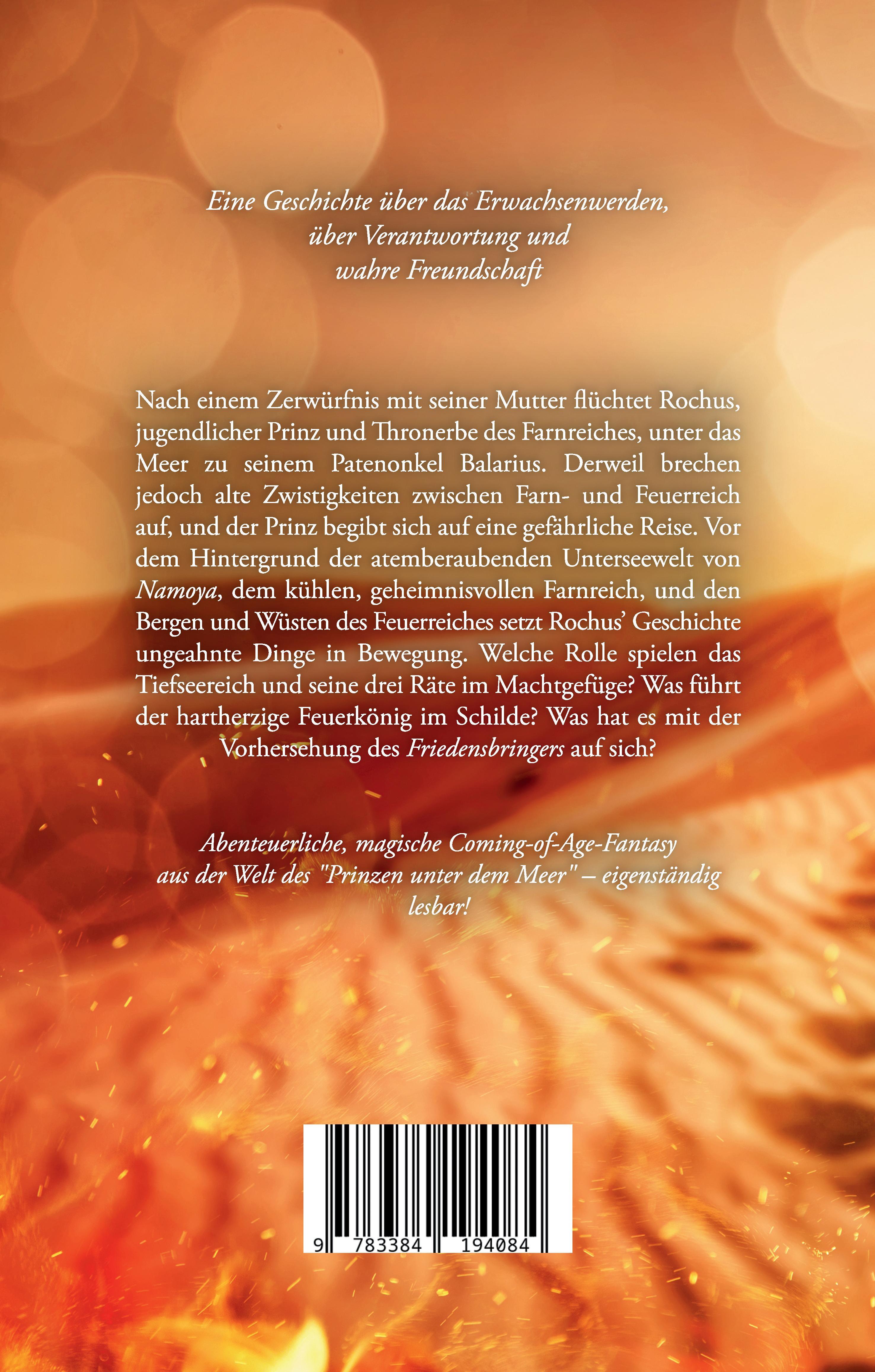 Rückseitencover Der Prinz hinter den Bergen