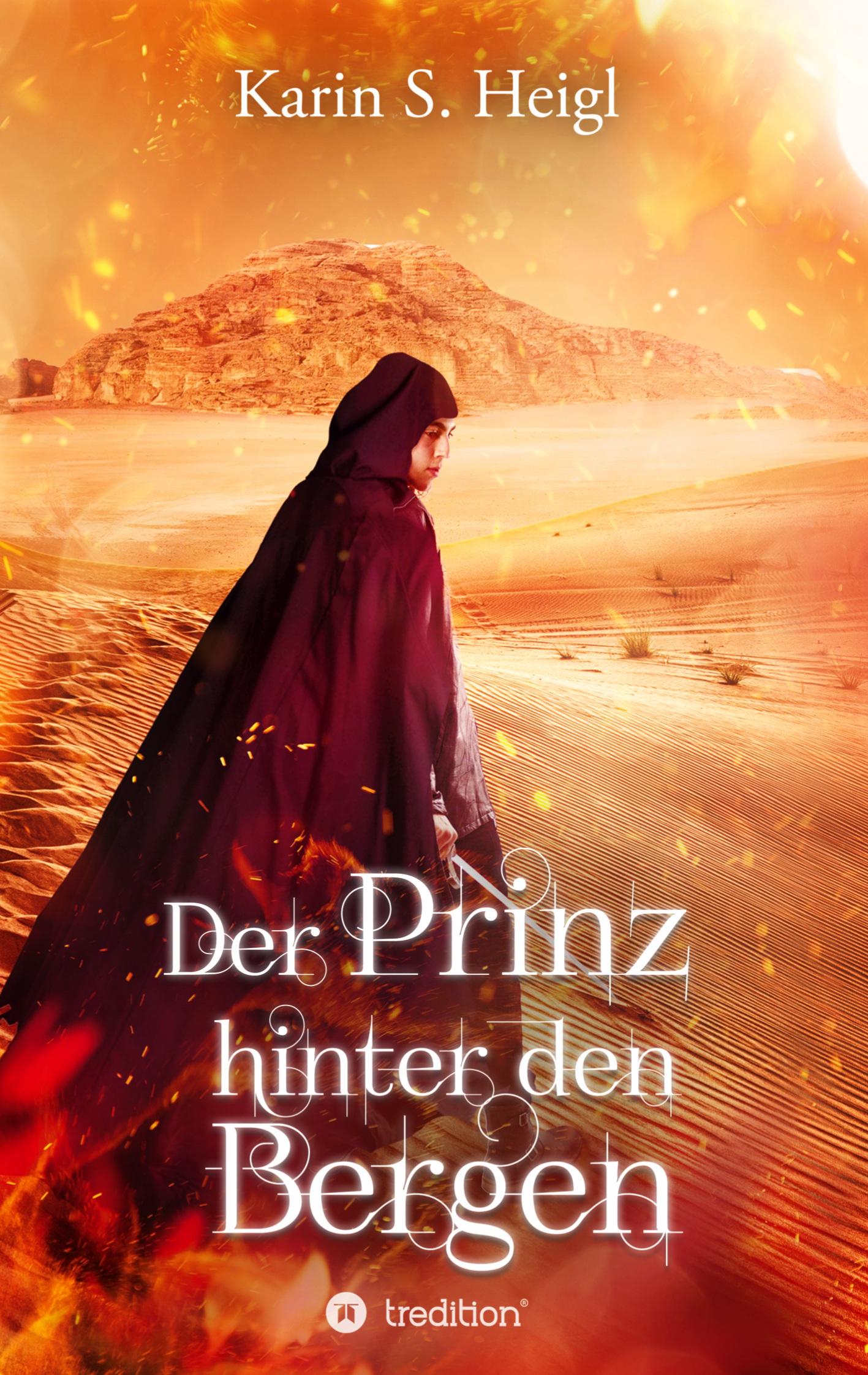 Vorderes Coverbild Der Prinz hinter den Bergen