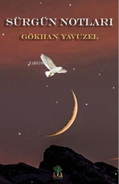 Vorderes Coverbild Sürgün Notlari