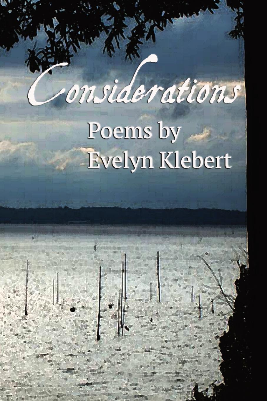 Vorderes Coverbild Considerations