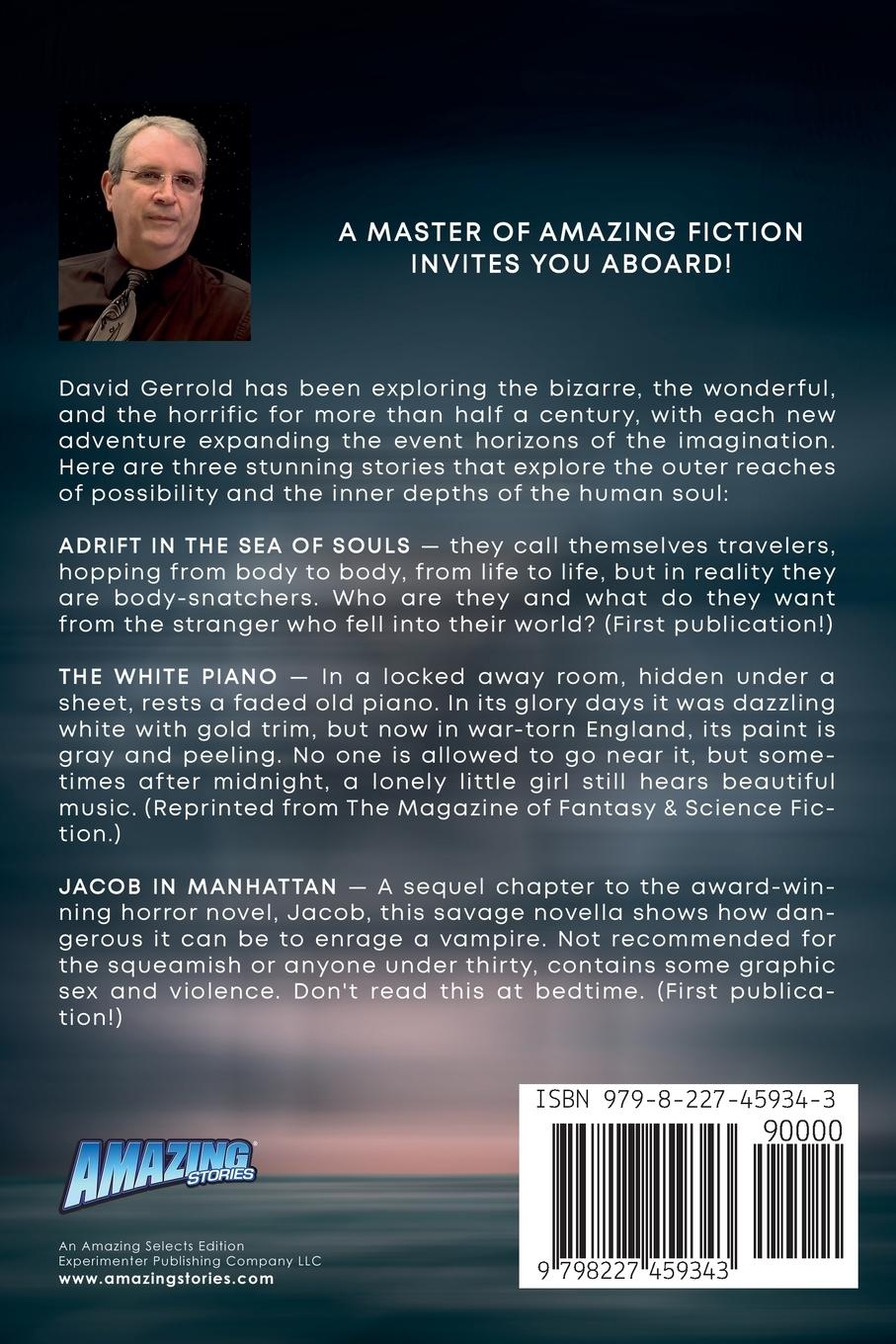 Rückseitencover Adrift in the Sea of Souls