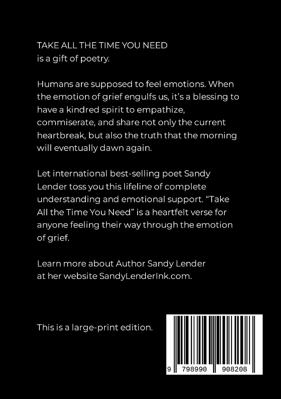 Rückseitencover Take All the Time You Need