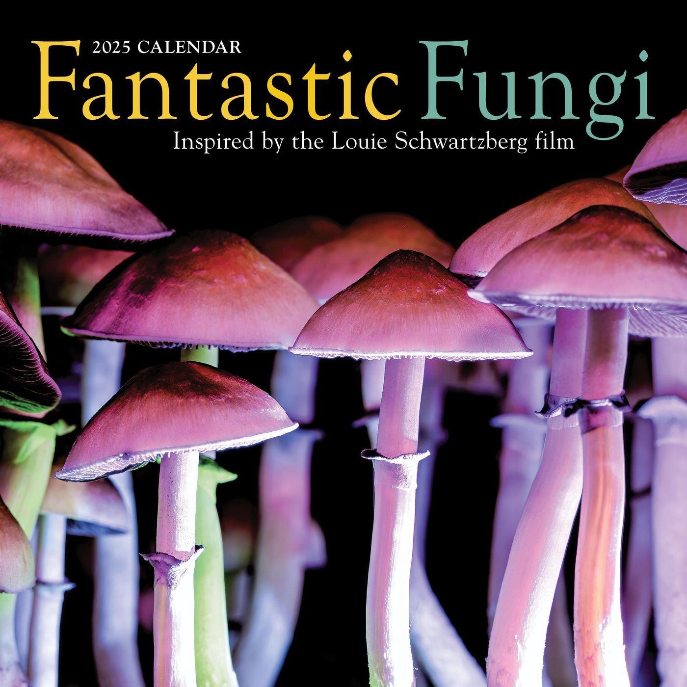 Vorderes Coverbild Fantastic Fungi Wall Calendar 2025