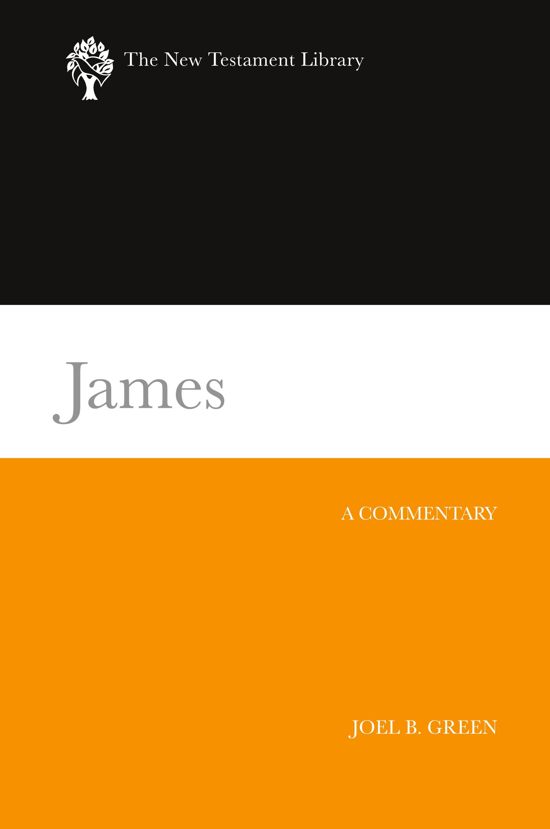 Vorderes Coverbild James