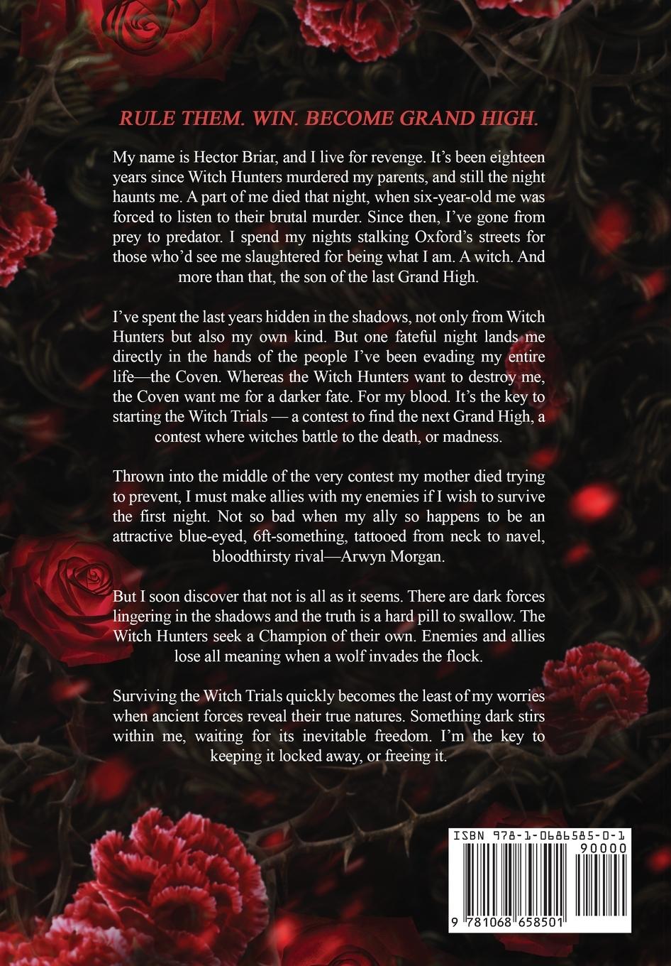 Rückseitencover The Witch and His Crow