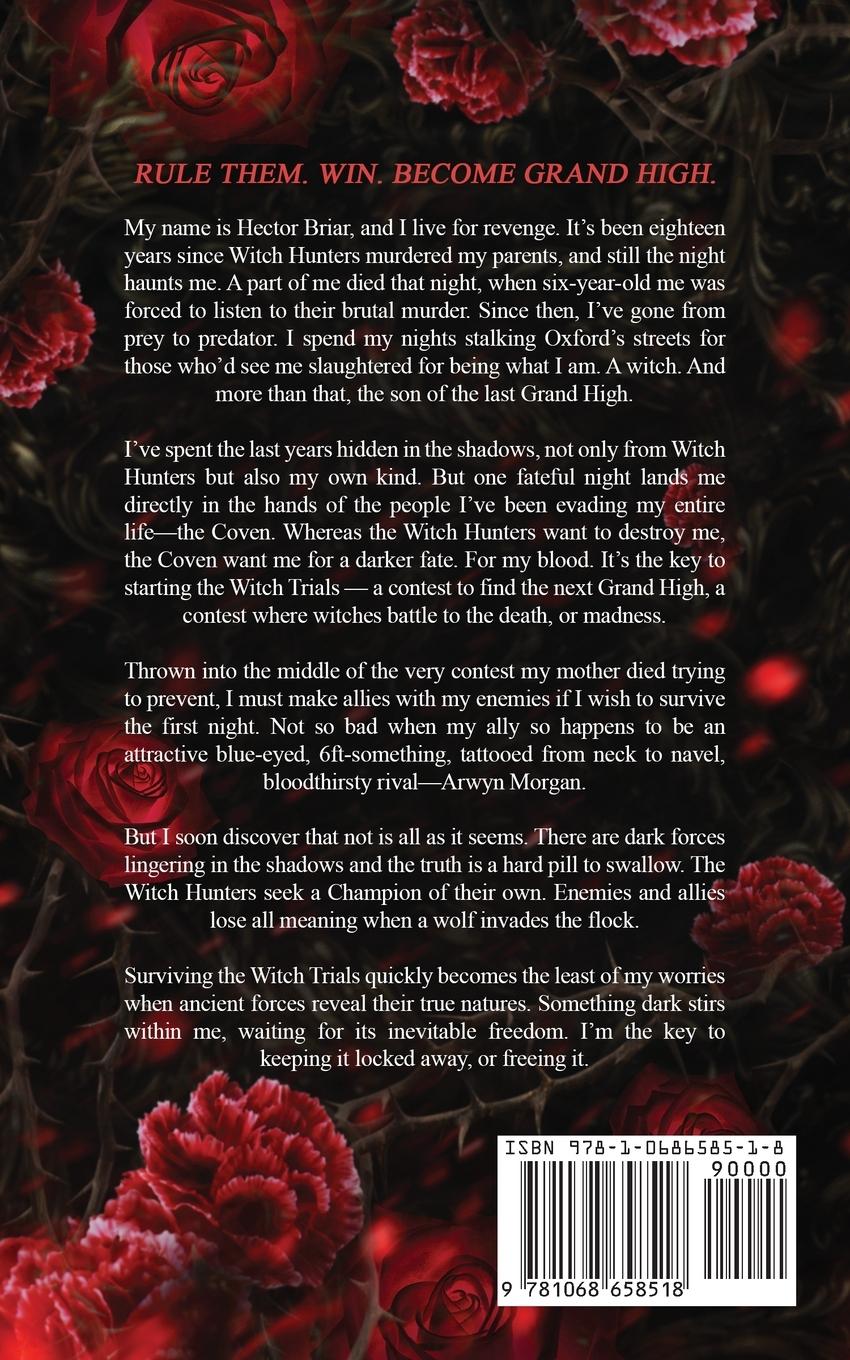 Rückseitencover The Witch and His Crow