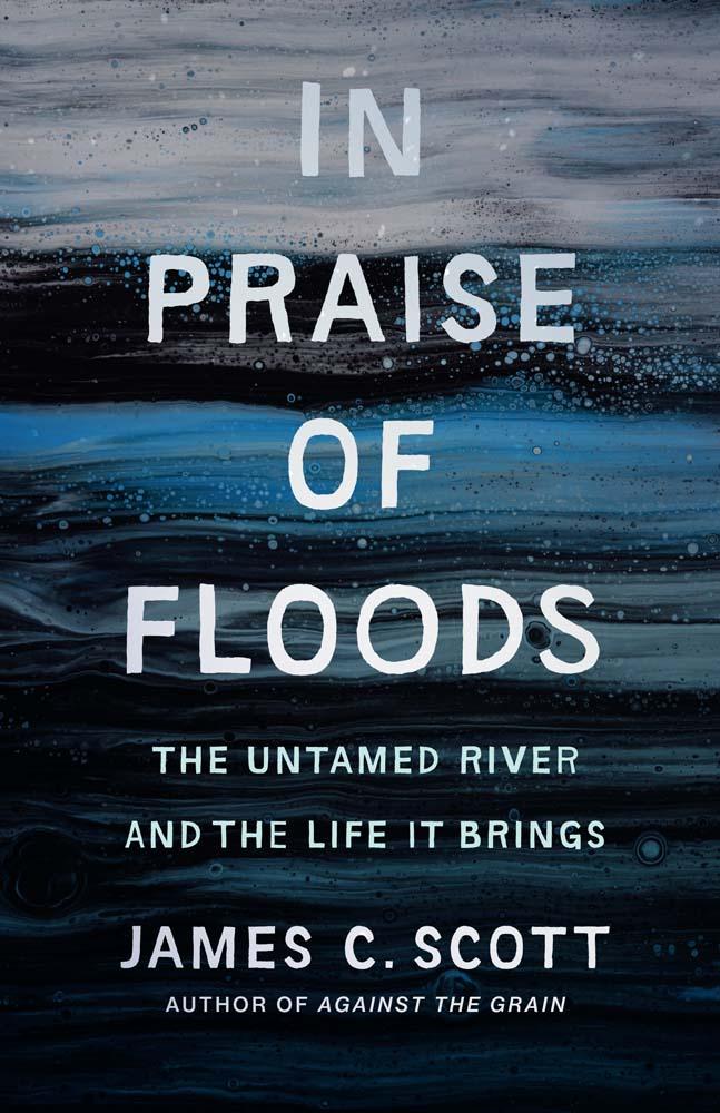 Vorderes Coverbild In Praise of Floods