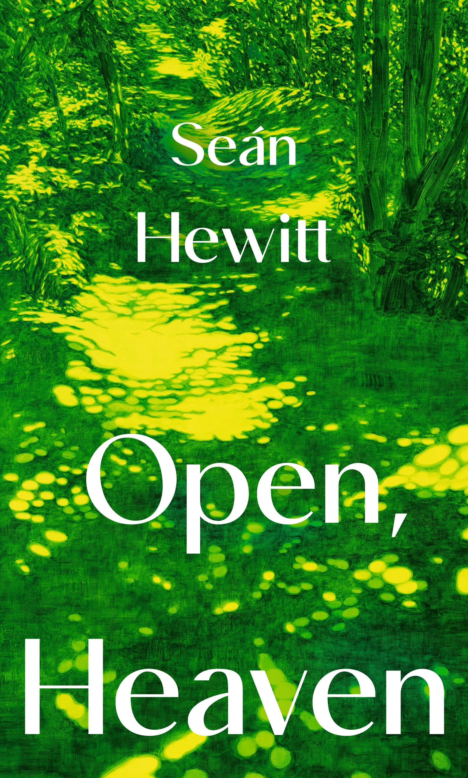Vorderes Coverbild Open, Heaven
