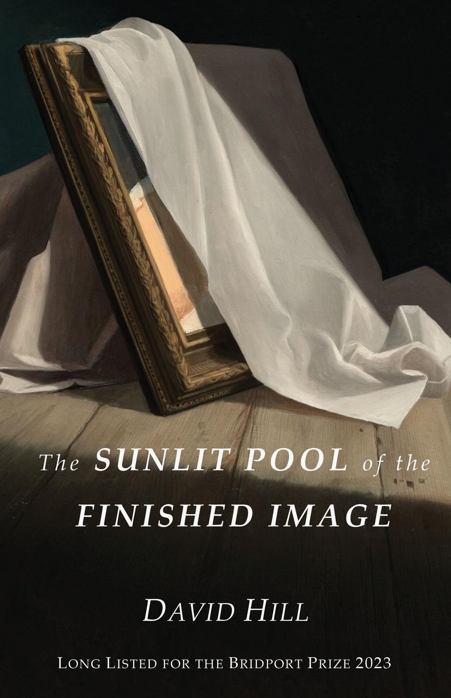 Vorderes Coverbild The Sunlit Pool of the Finished Image