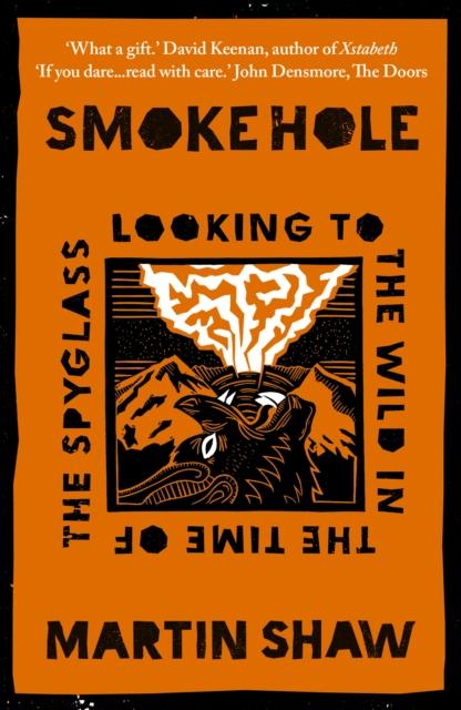 Vorderes Coverbild Smoke Hole