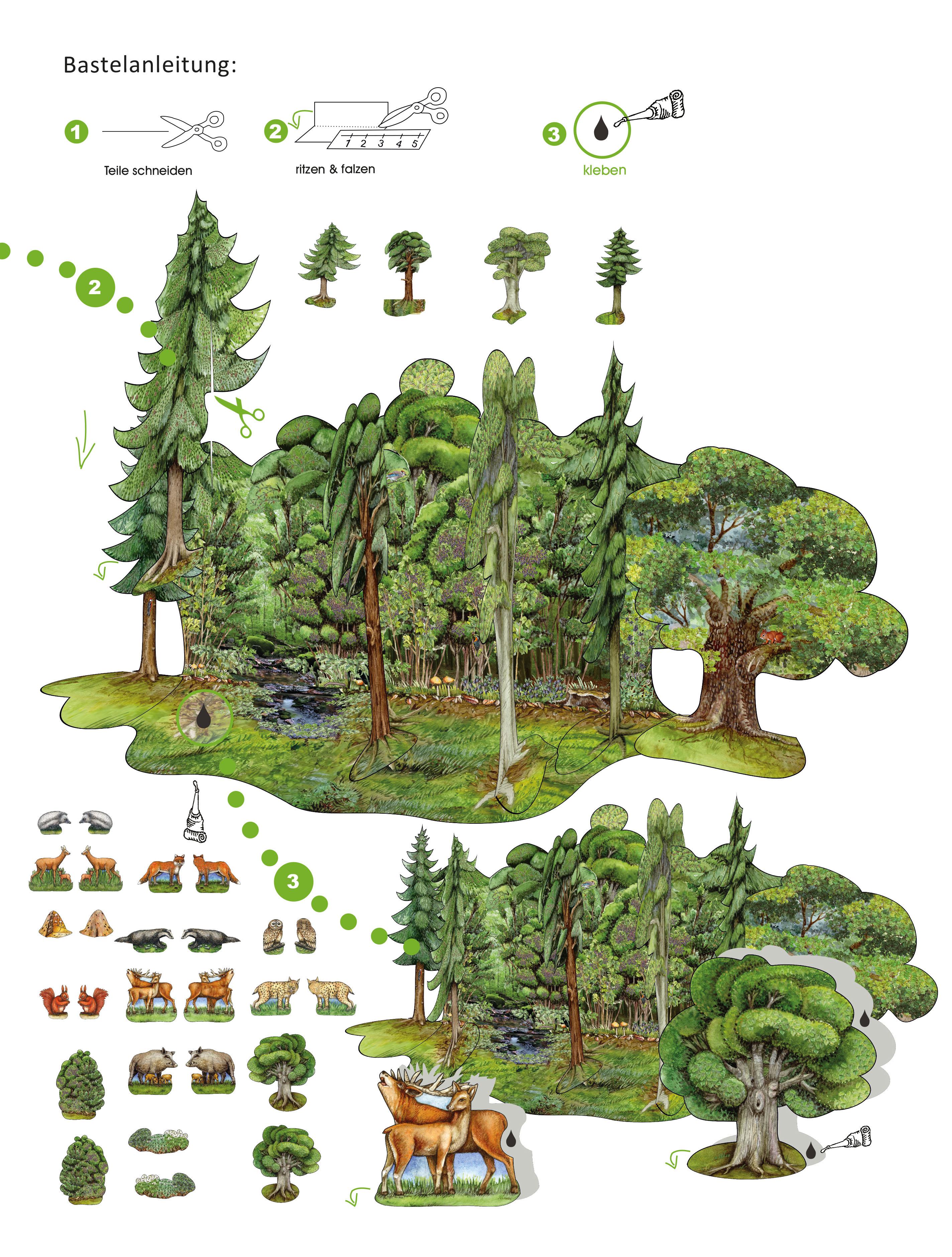 Beispielinhalt (Bild) Wald Bastelbogen Bäume & Tiere zum Ausschneiden & Basteln aus Papier