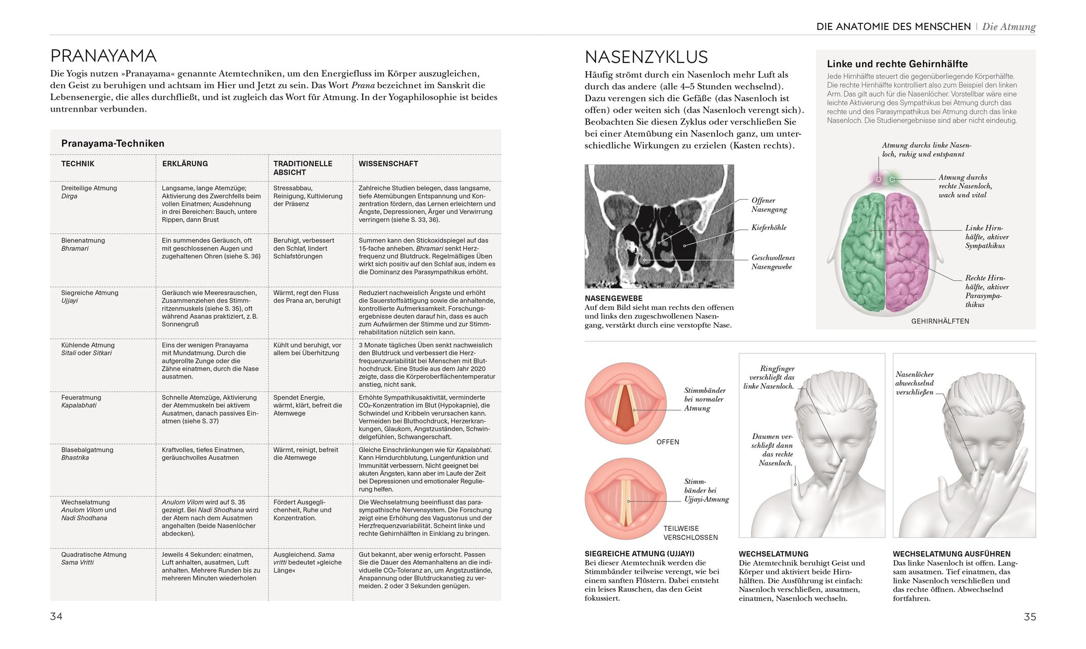 Beispielinhalt (Bild) Yoga verstehen - Die Anatomie der Yoga-Haltungen