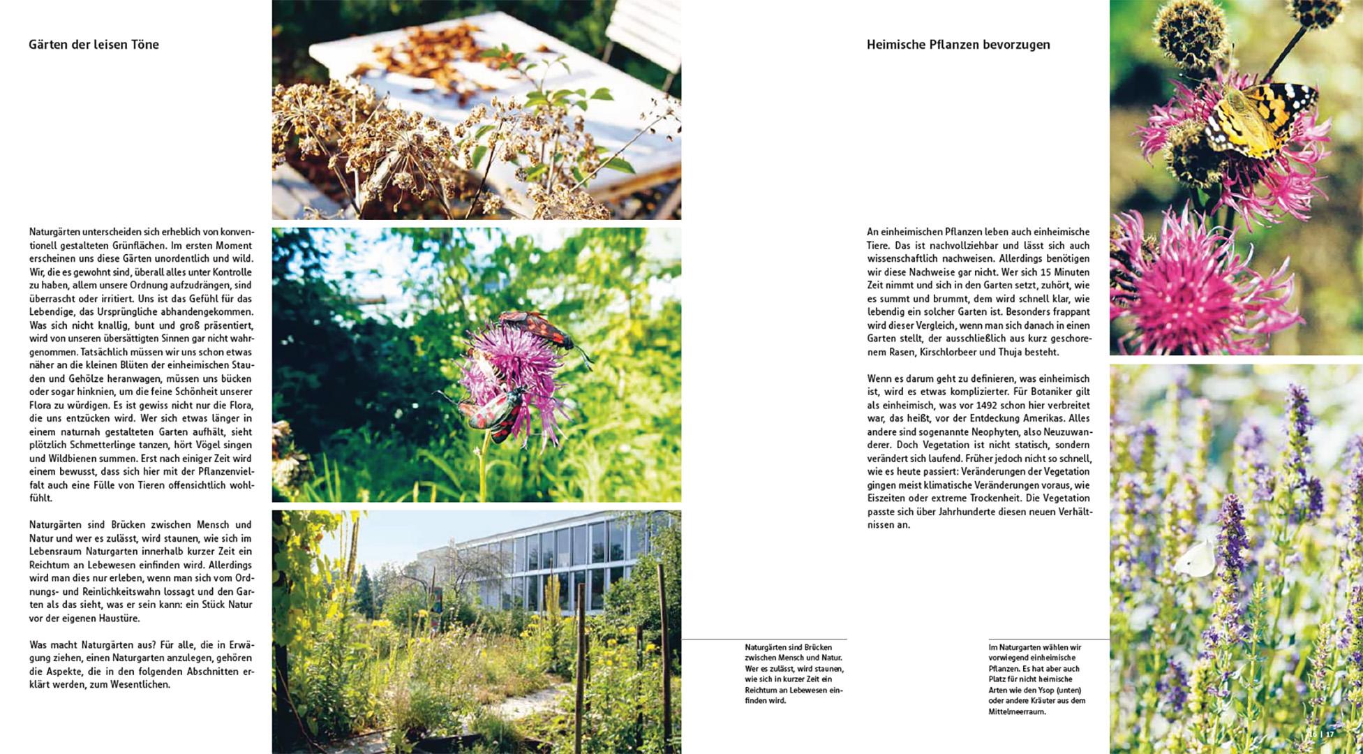 Beispielinhalt (Bild) Der gestaltete Naturgarten