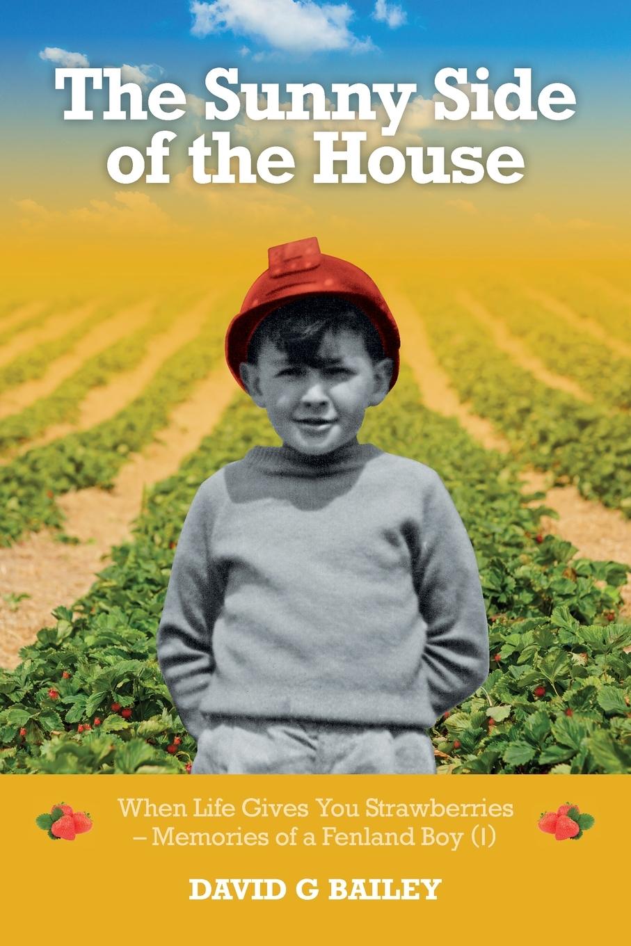 Vorderes Coverbild The Sunny Side of the House