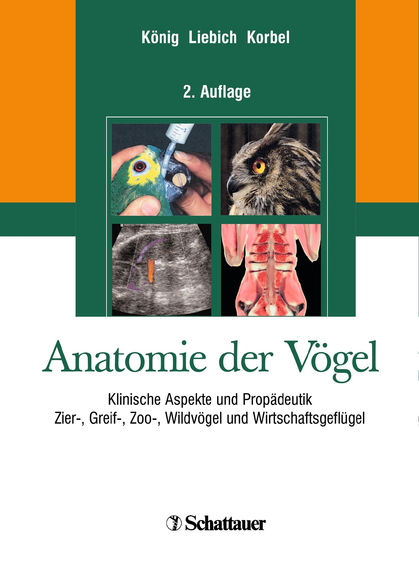 Vorderes Coverbild Anatomie der Vögel