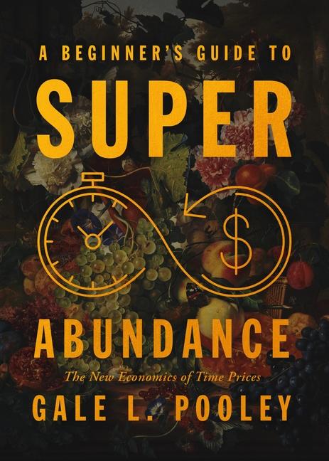 Vorderes Coverbild A Beginner's Guide to Superabundance