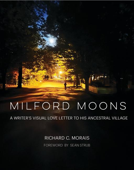 Vorderes Coverbild Milford Moons